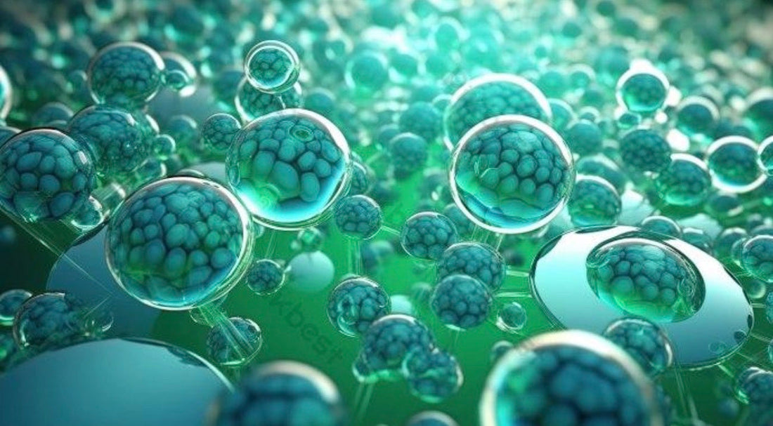 為什麼你看到血糖數值太差，科學家看見的是胰島細胞功能太差？