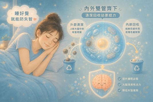 睡好覺就能防失智？研究證實「向右側睡」大腦排毒效果最好！