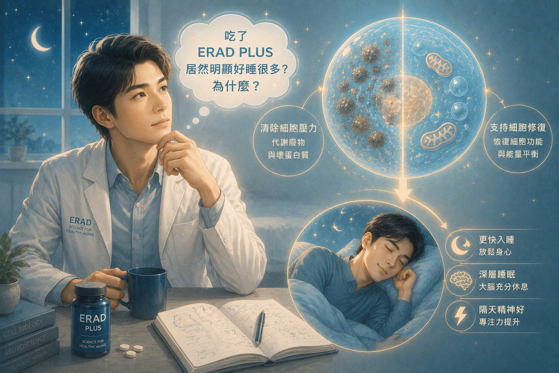 吃了 ERAD Plus 居然明顯好睡很多？ERAD 幫助睡眠的科學真相