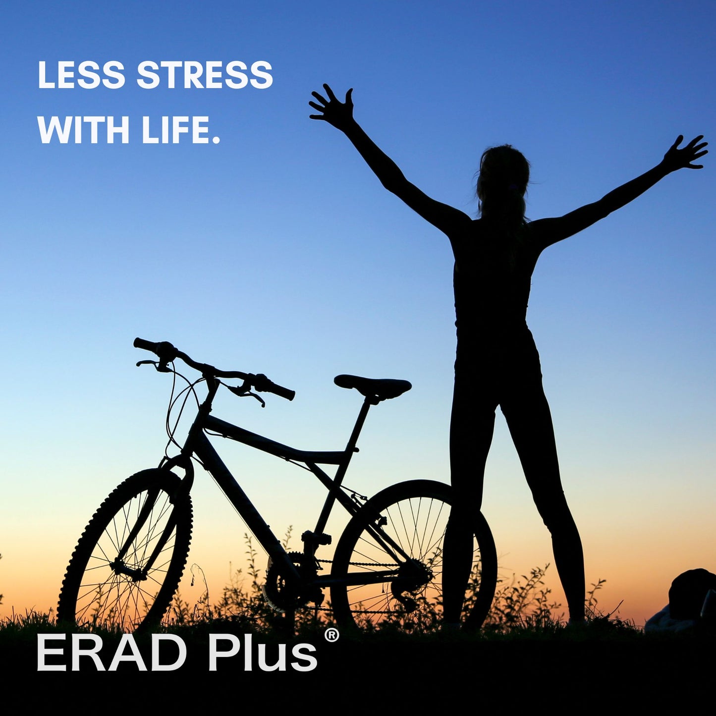 易瑞得 ERAD Plus Pre-D 素食草本萃取 單瓶